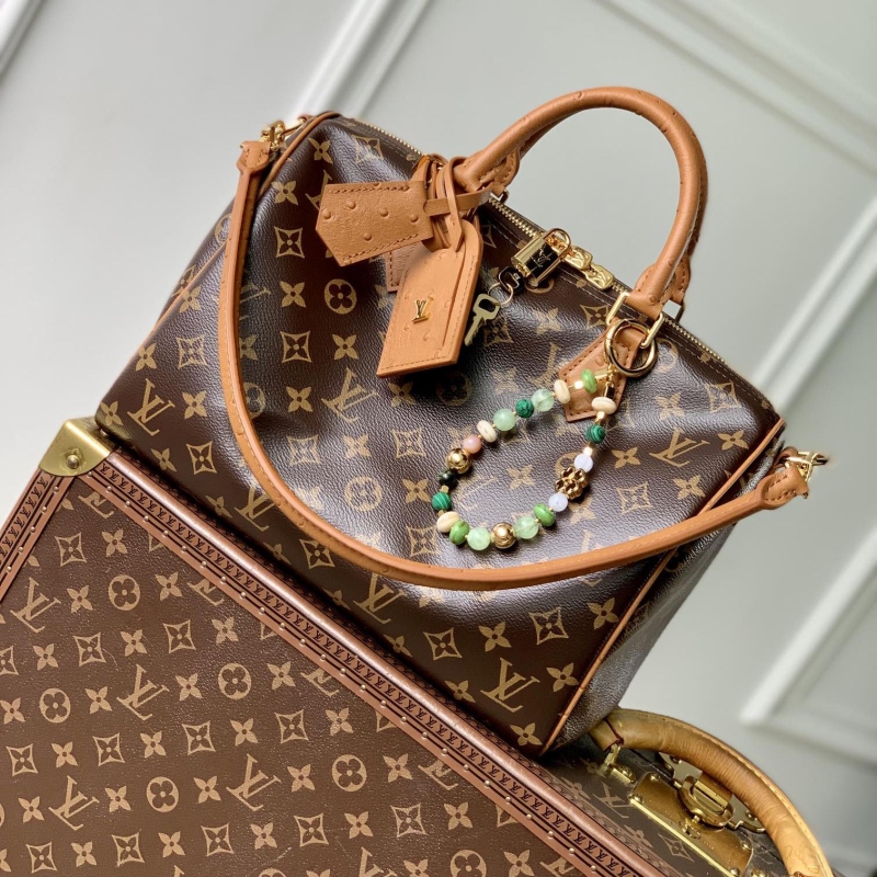 LV Speedy Bags